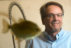 Photo: Professor Peter Wainwright, behind fish tank, with a fish swimming in front of him
