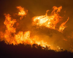 Photo: Wildfire