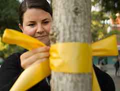 UC Davis staff member Kendra Marsh, an Army veteran, ties a yellow ribbon around a tree on the Quad.