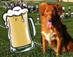 Image: Beer mug image and dog on football field