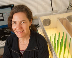 Photo: Stacey Combes, environmental portrait, in lab