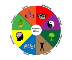 Image: Wellness Wheel